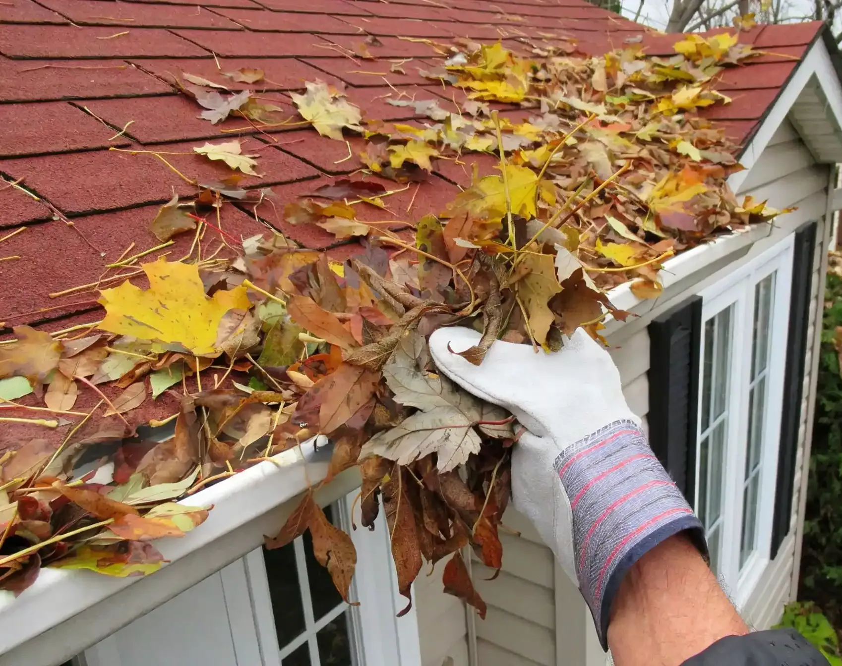 Gutter Cleaning